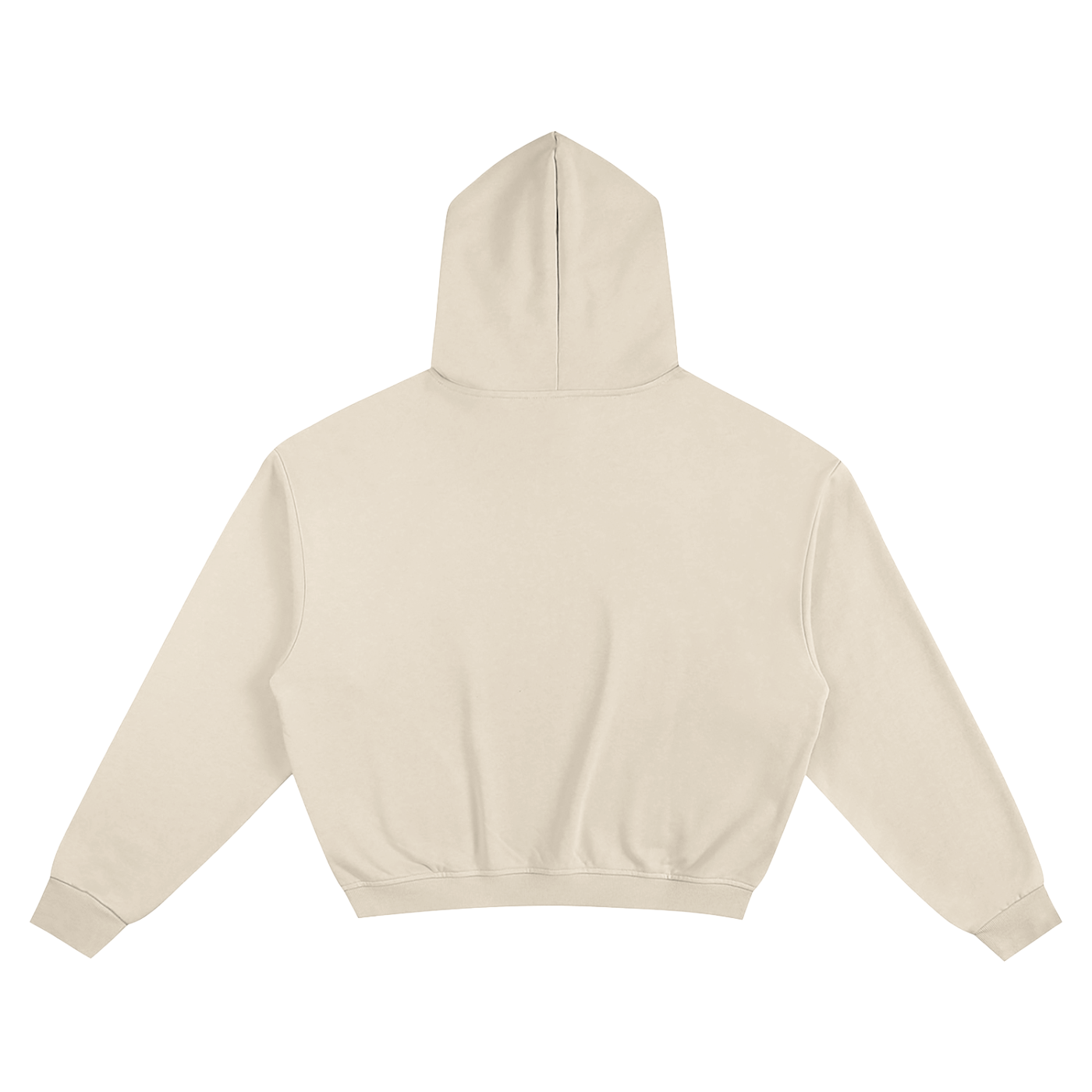 Astra Boxy Hoodie | Volume 1