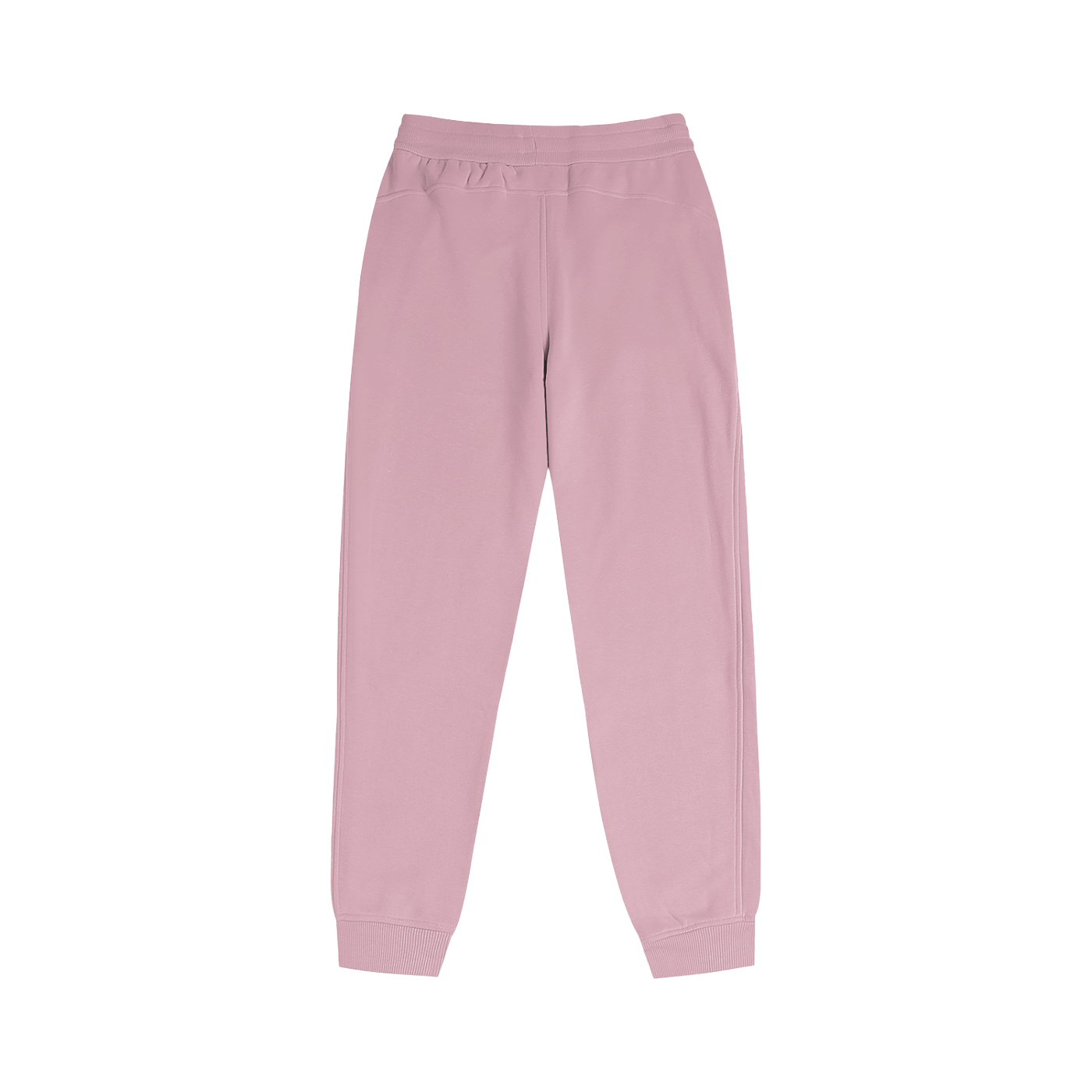 Astra Jogger Pants | Volume 1